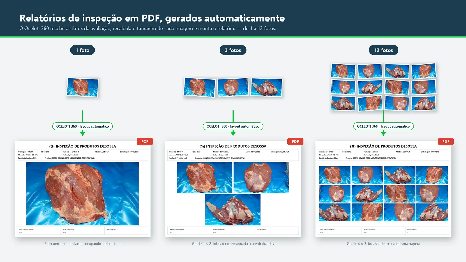 Relatórios em PDF automáticos